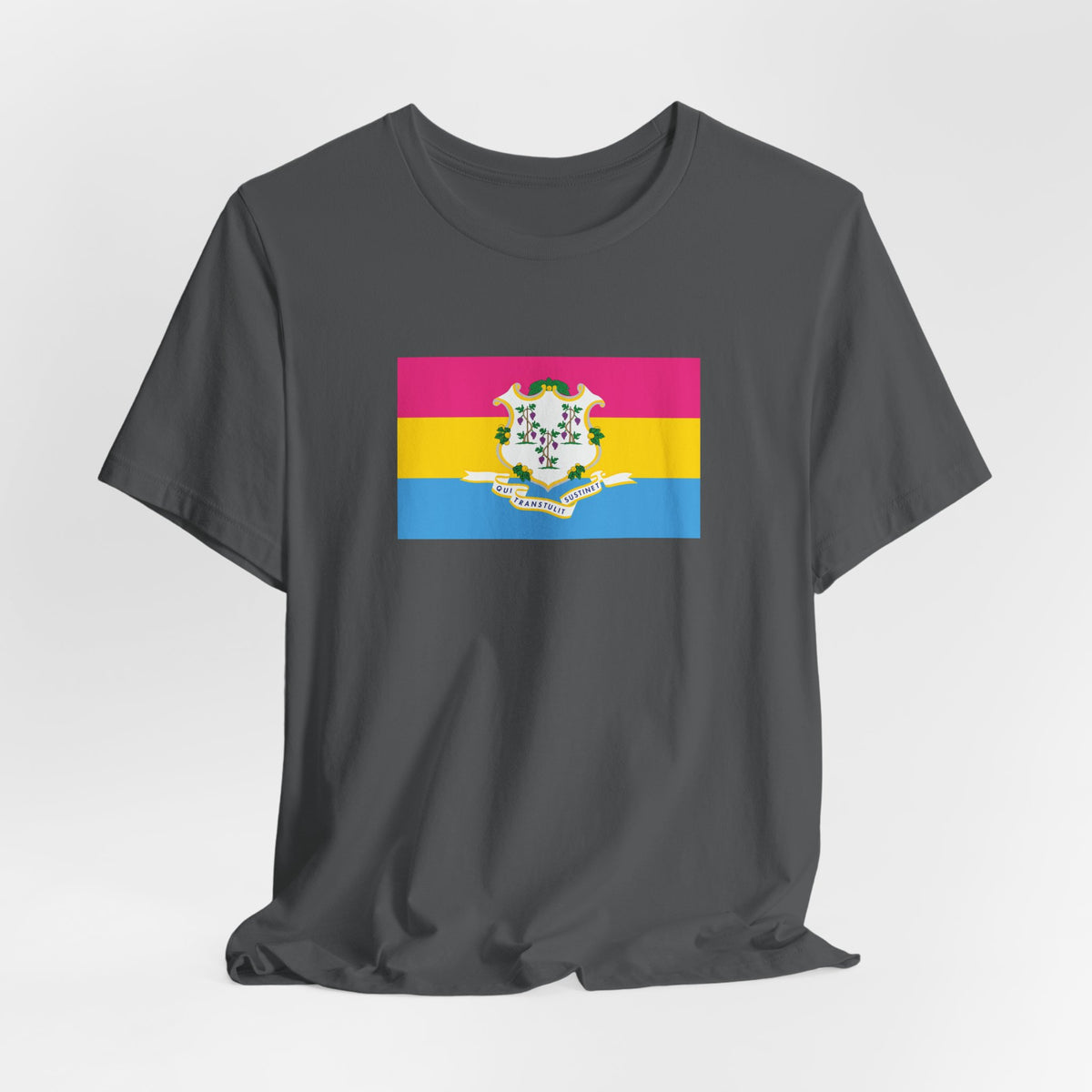 Connecticut Pansexual Pride Flag T-shirt, Several Color Options