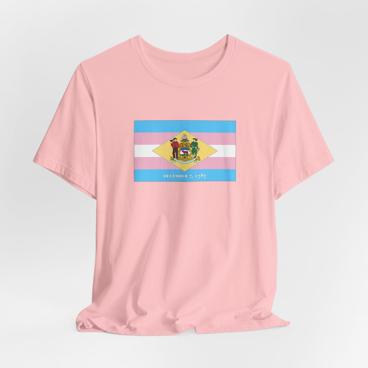 Delaware Transgender Pride Flag T-shirt, Several Color Options