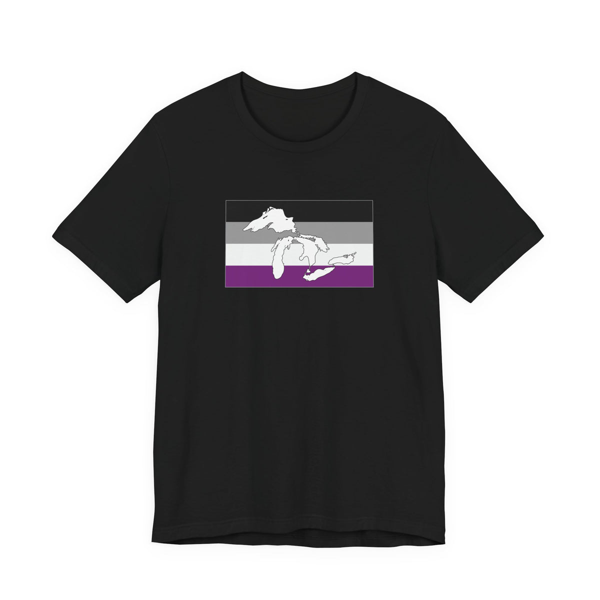 Great Lakes Region Asexual Pride Flag T-shirt, Several Color Options
