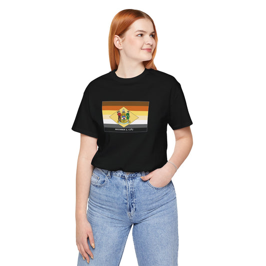 Delaware Bear Pride Flag T-shirt, Several Color Options