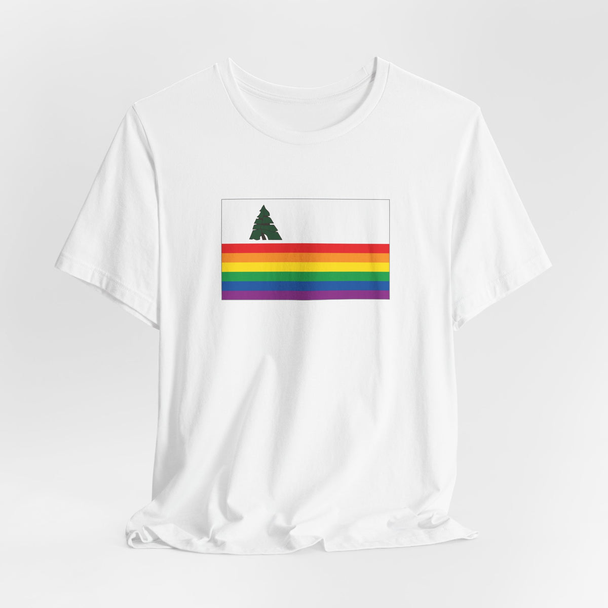 Santa Cruz, California Rainbow Pride Flag T-shirt, Several Color Options