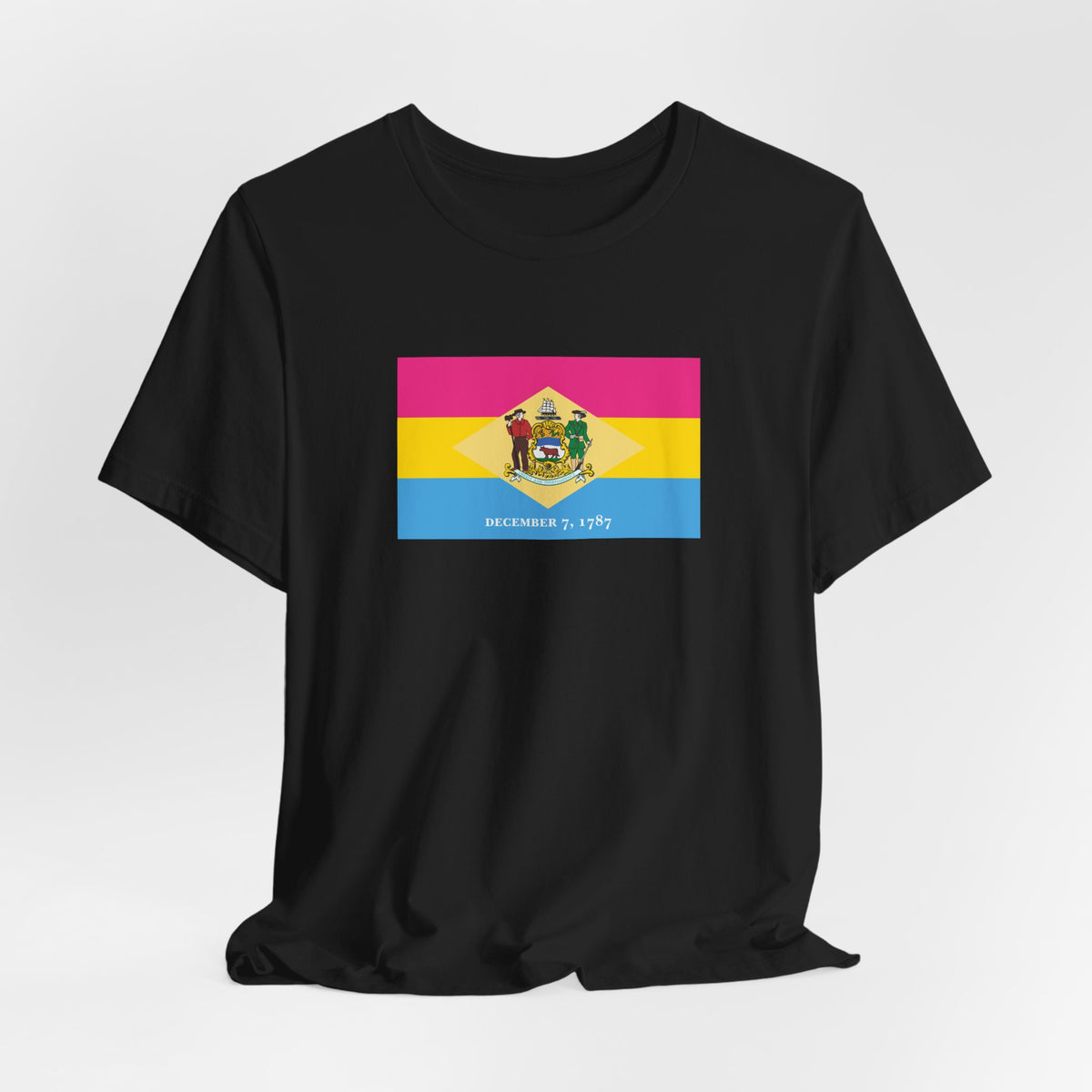 Delaware Pansexual Pride Flag T-shirt, Several Color Options