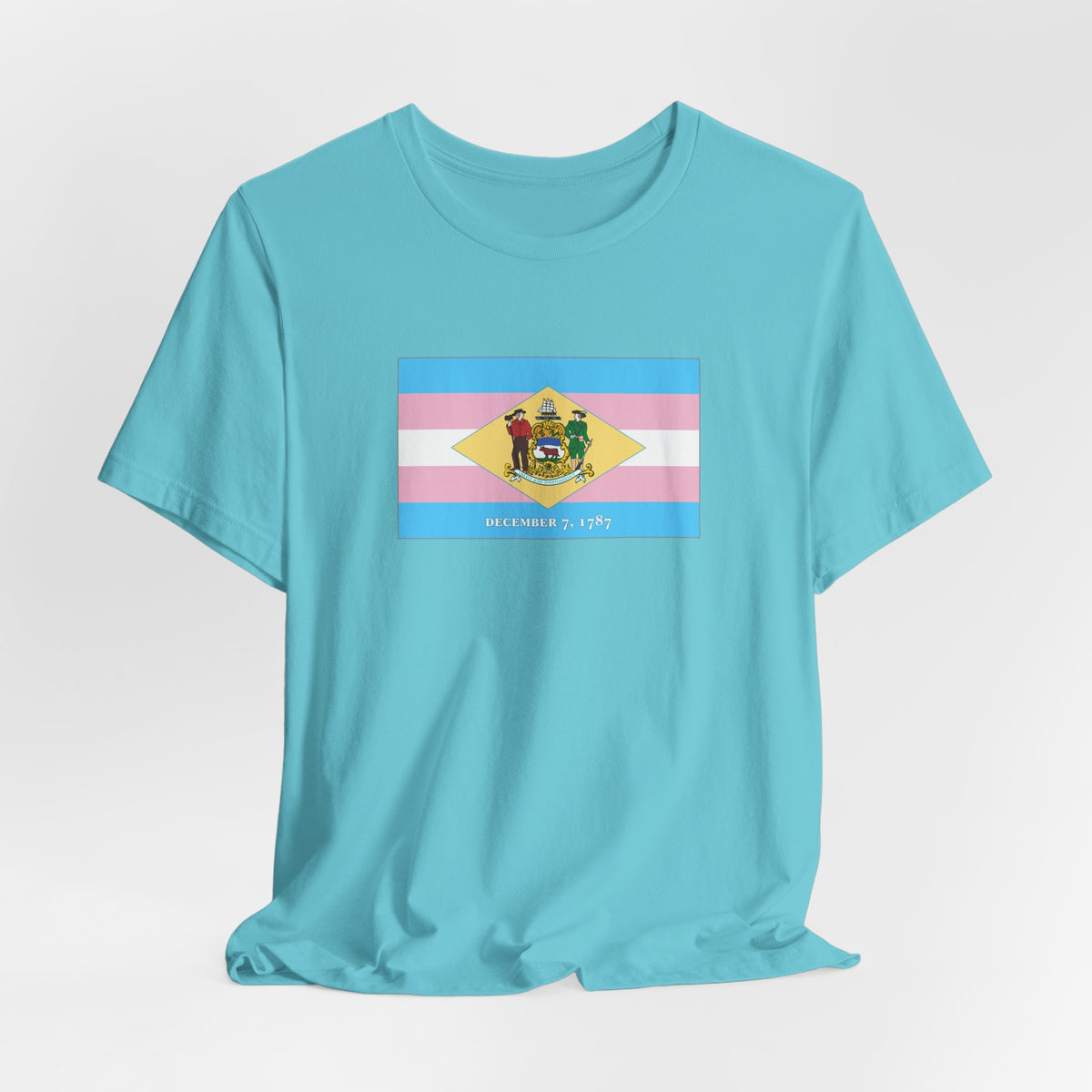 Delaware Transgender Pride Flag T-shirt, Several Color Options