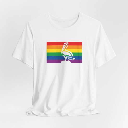 Saint Petersburg, Florida Rainbow Pride Flag T-shirt, Several Color Options