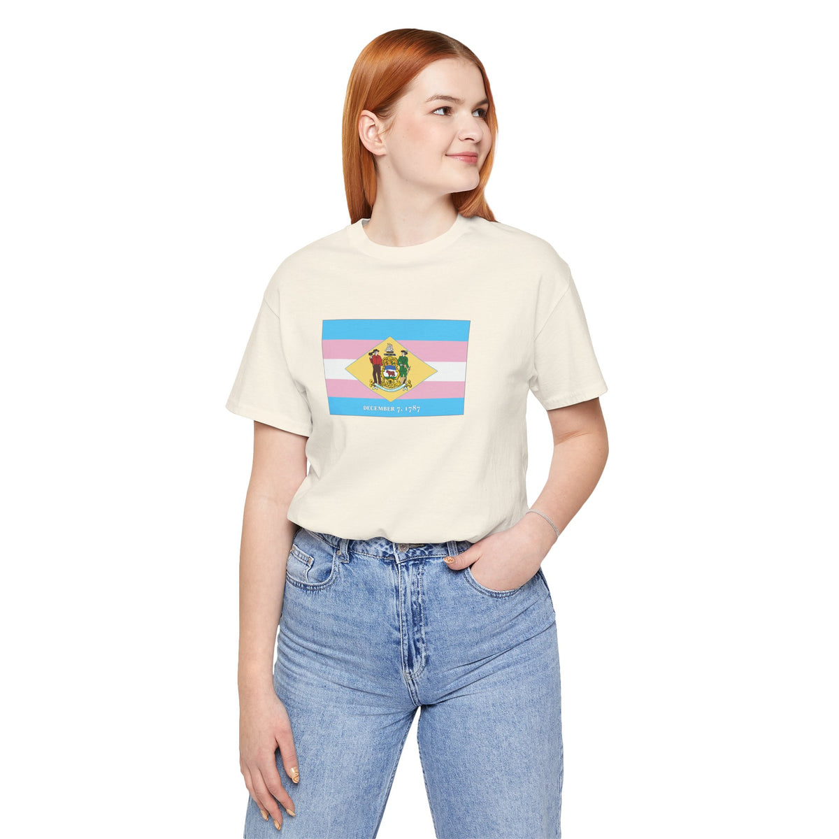 Delaware Transgender Pride Flag T-shirt, Several Color Options
