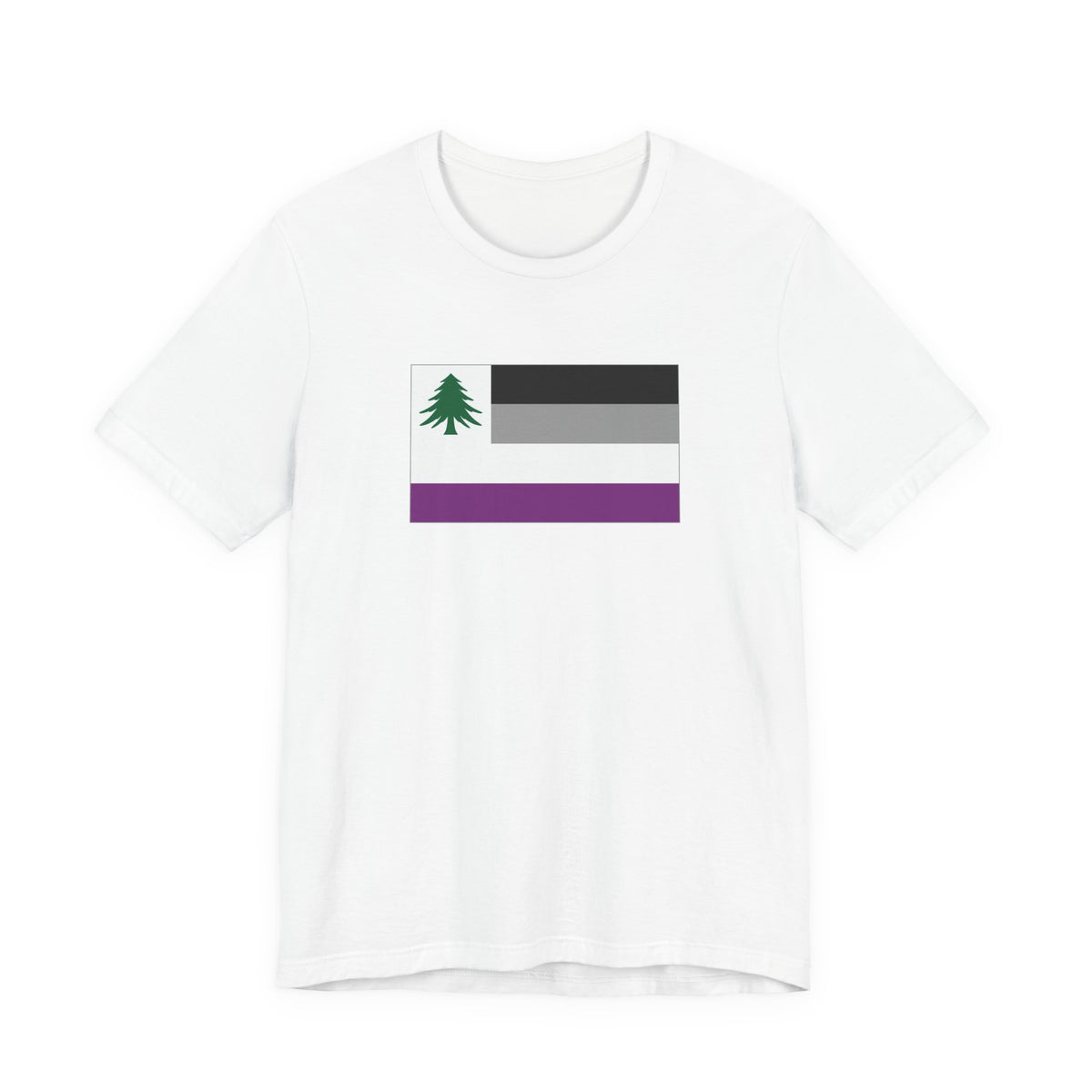 New England Asexual Pride Flag T-shirt, Several Color Options
