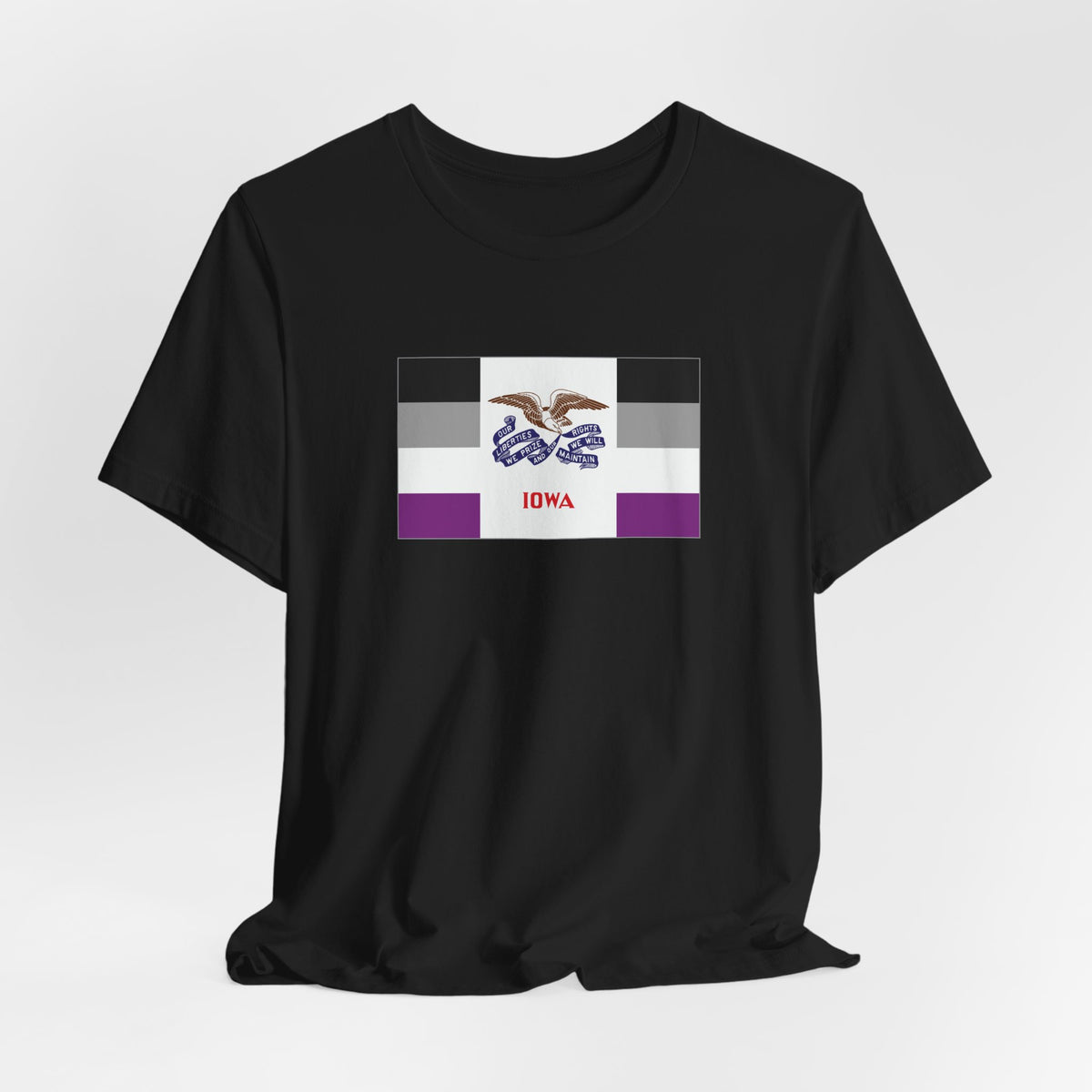 Iowa Asexual Pride Flag T-shirt, Several Color Options