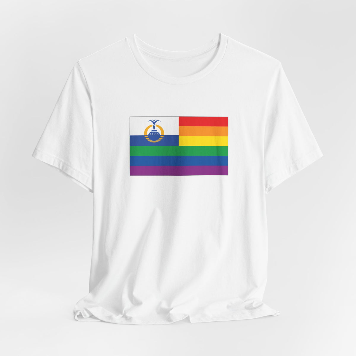 Orlando, Florida Rainbow Pride Flag T-shirt, Several Color Options