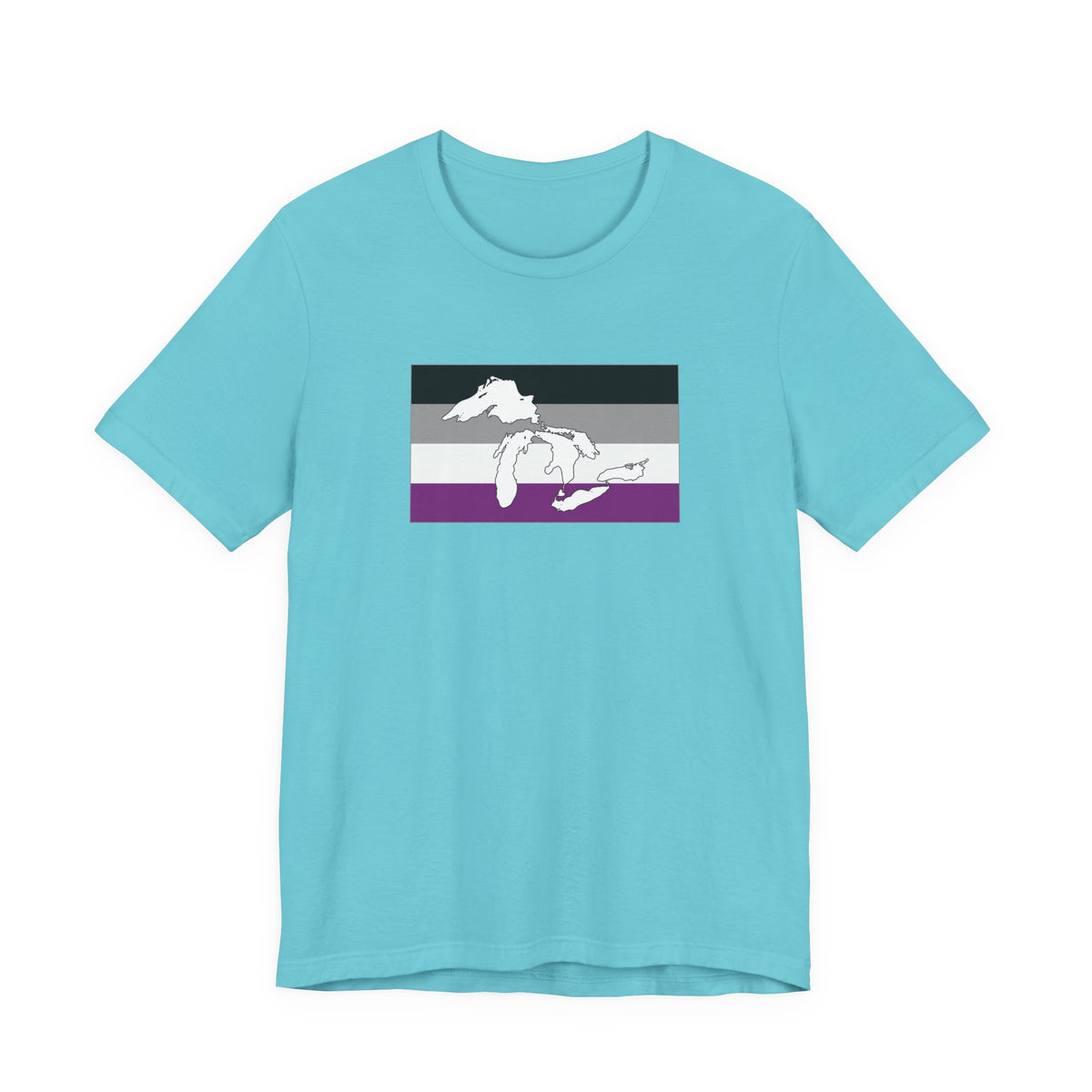 Great Lakes Region Asexual Pride Flag T-shirt, Several Color Options