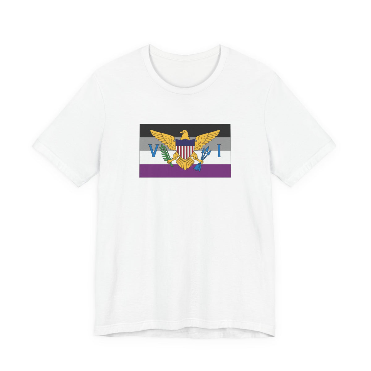 U.S. Virgin Islands Asexual Pride Flag T-shirt, Several Color Options