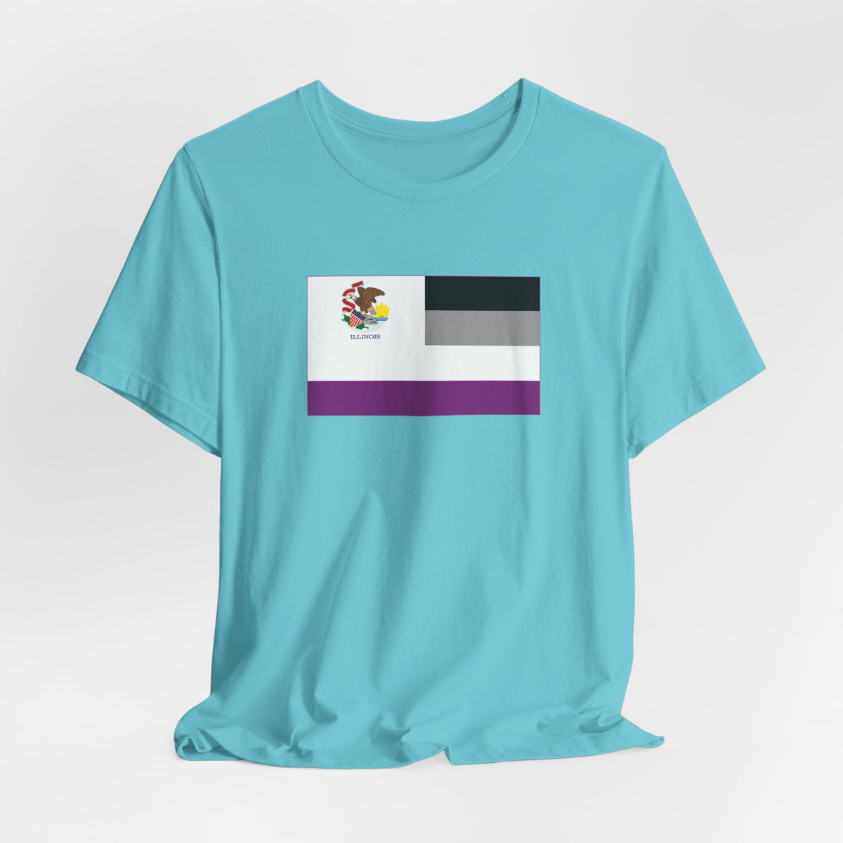 Illinois Asexual Pride Flag T-shirt, Several Color Options