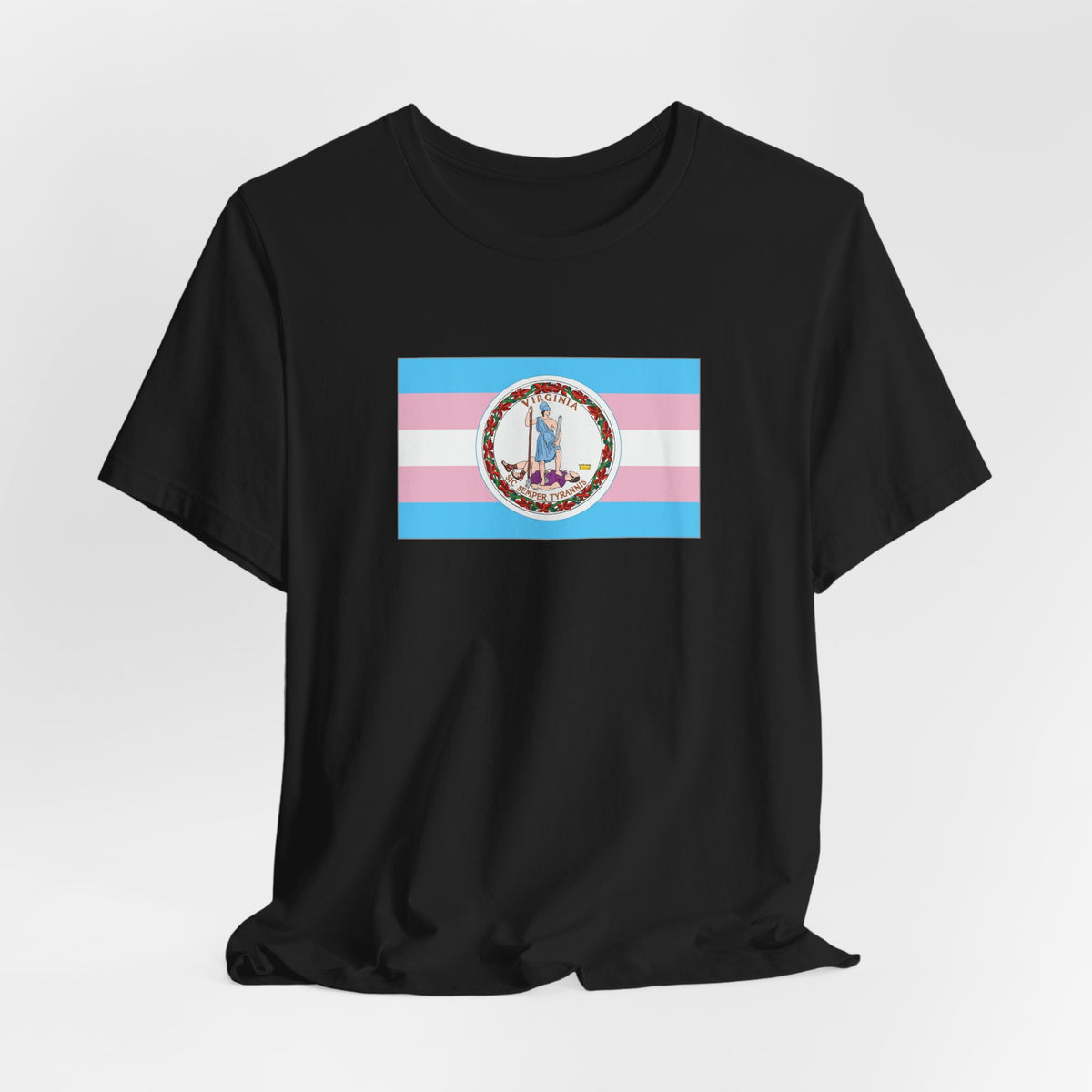Virginia Transgender Pride Flag T-shirt, Several Color Options