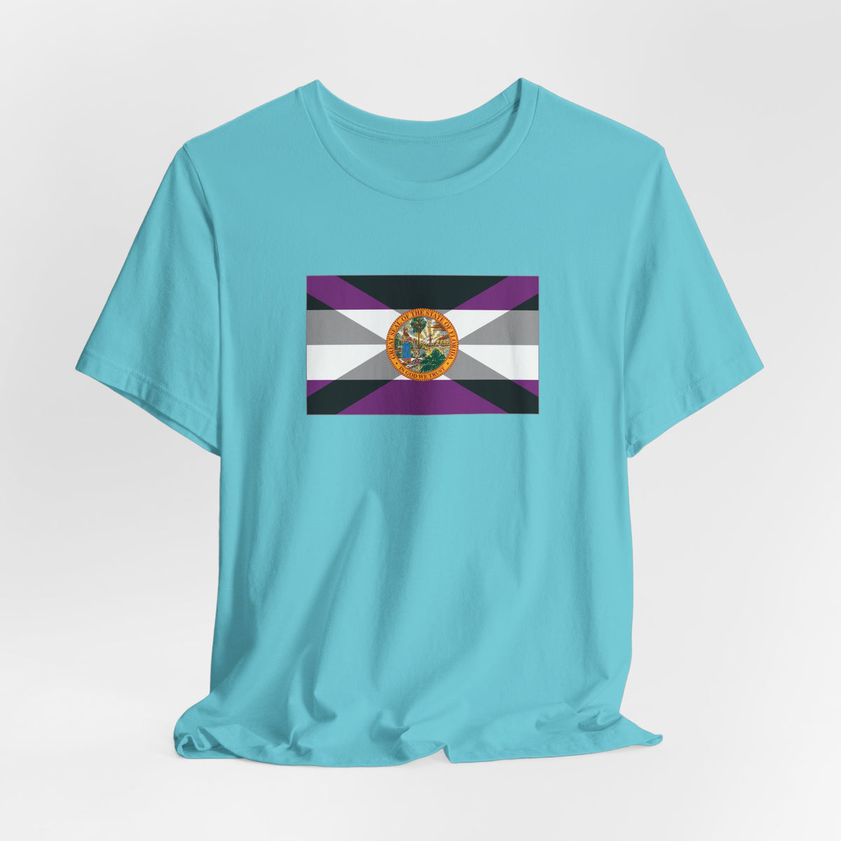 Florida Asexual Pride Flag T-shirt, Several Color Options