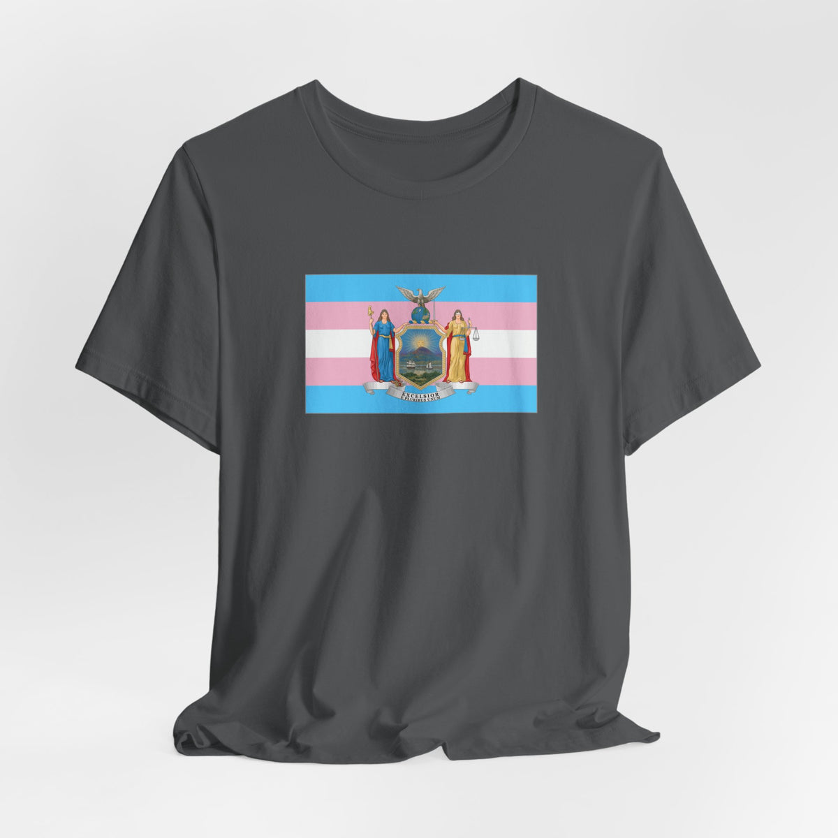 New York Transgender Pride Flag T-shirt, Several Color Options