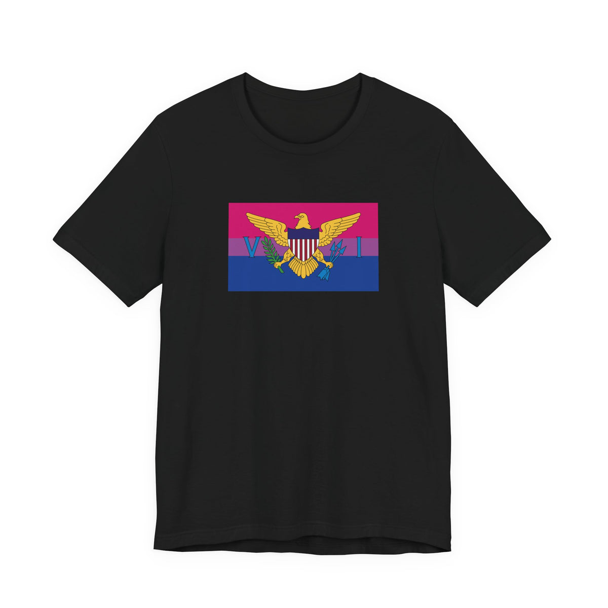 U.S. Virgin Islands Bisexual Pride Flag T-shirt, Several Color Options