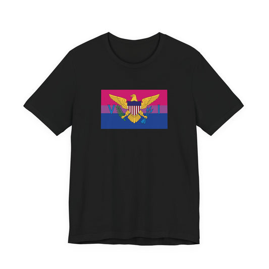 U.S. Virgin Islands Bisexual Pride Flag T-shirt, Several Color Options