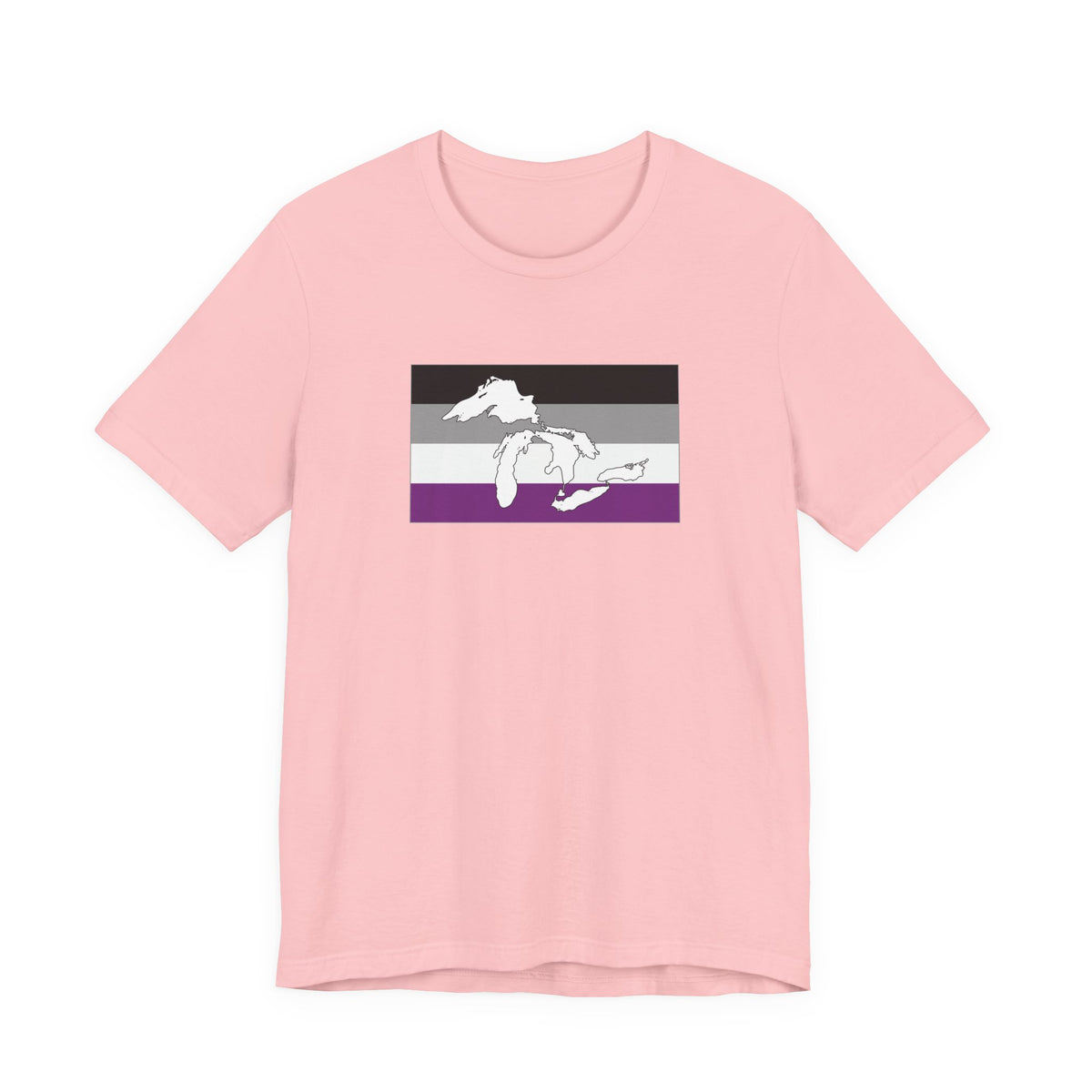 Great Lakes Region Asexual Pride Flag T-shirt, Several Color Options