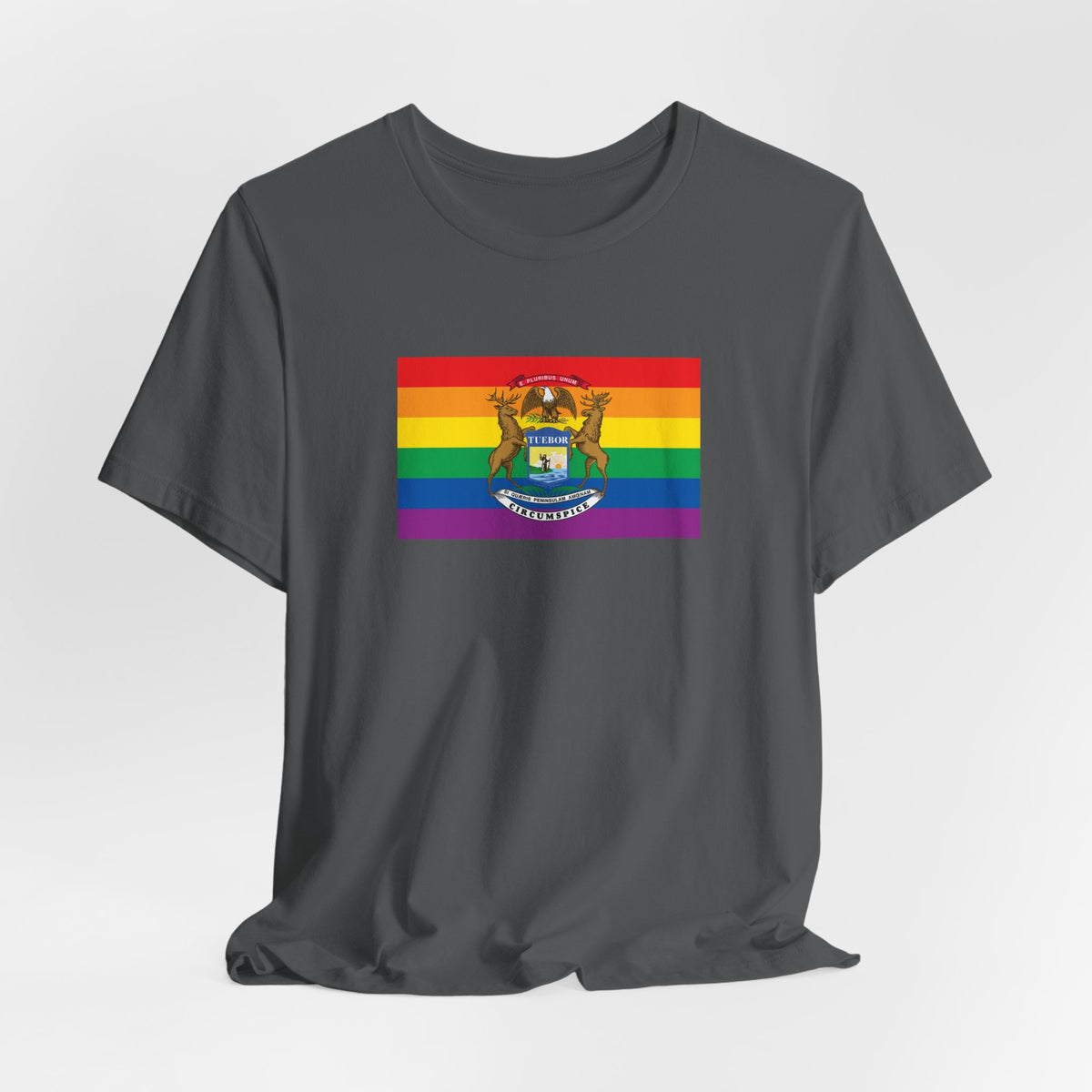 Michigan Rainbow Pride Flag T-shirt, Several Color Options