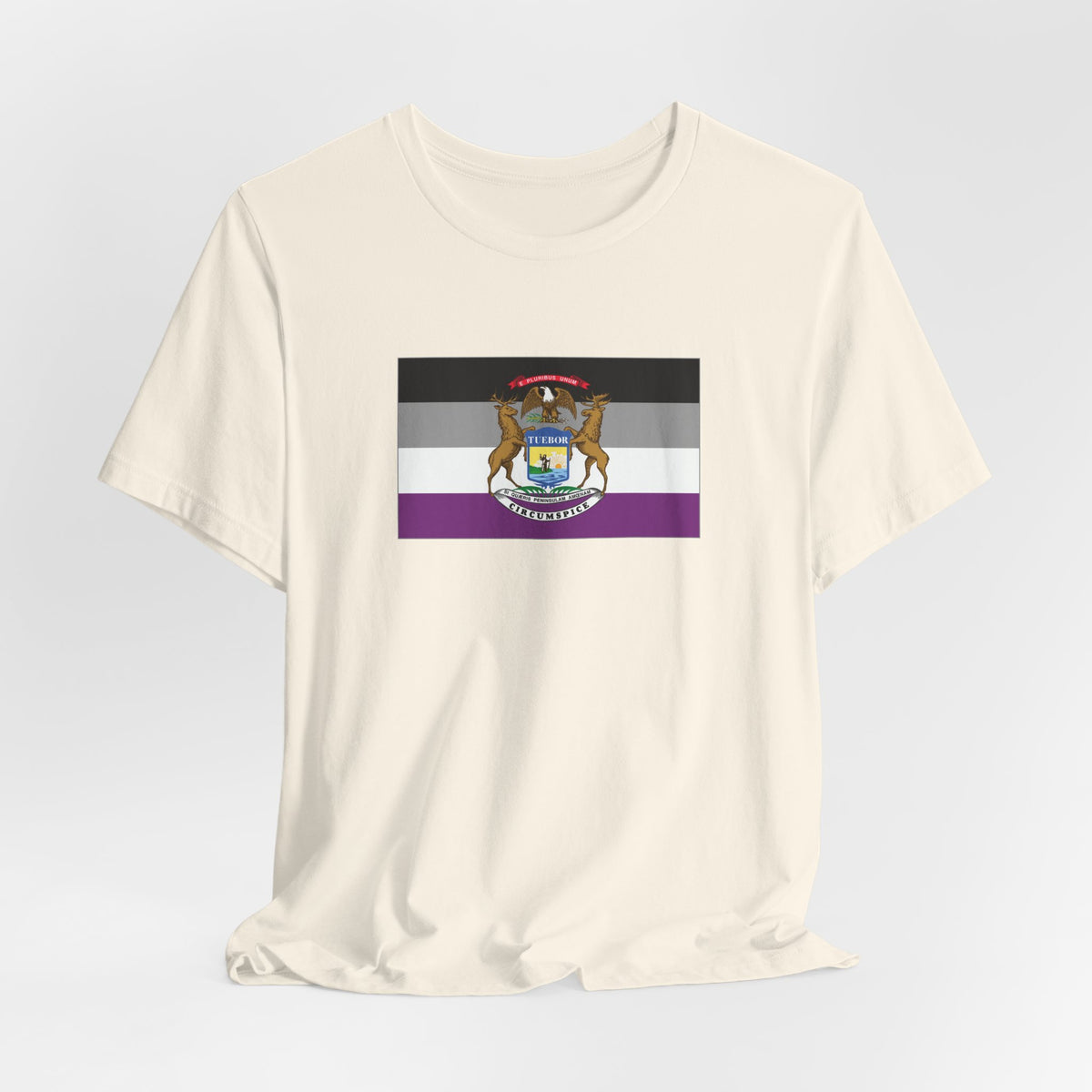 Michigan Asexual Pride Flag T-shirt, Several Color Options