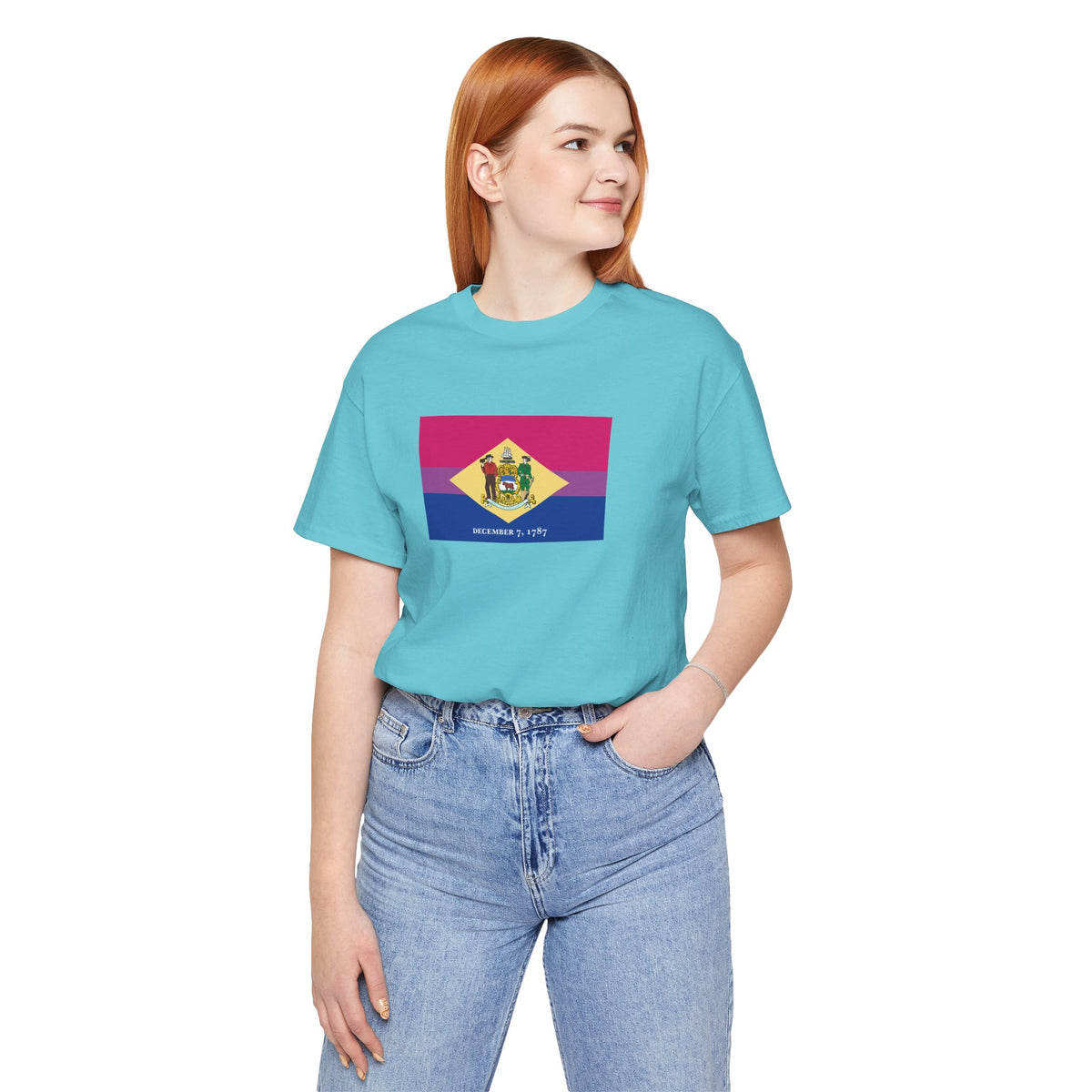 Delaware Bisexual Pride Flag T-shirt, Several Color Options
