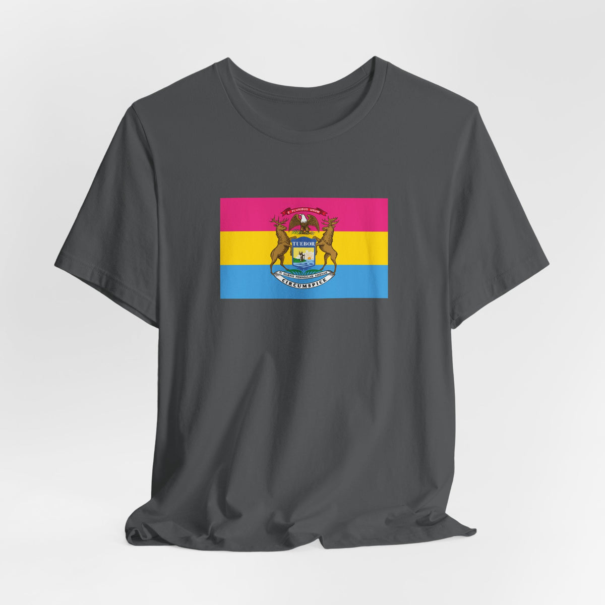 Michigan Pansexual Pride Flag T-shirt, Several Color Options