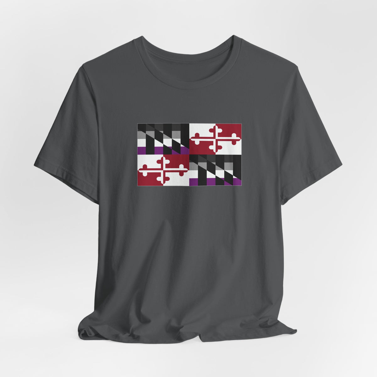 Maryland Asexual Pride Flag T-shirt, Several Color Options