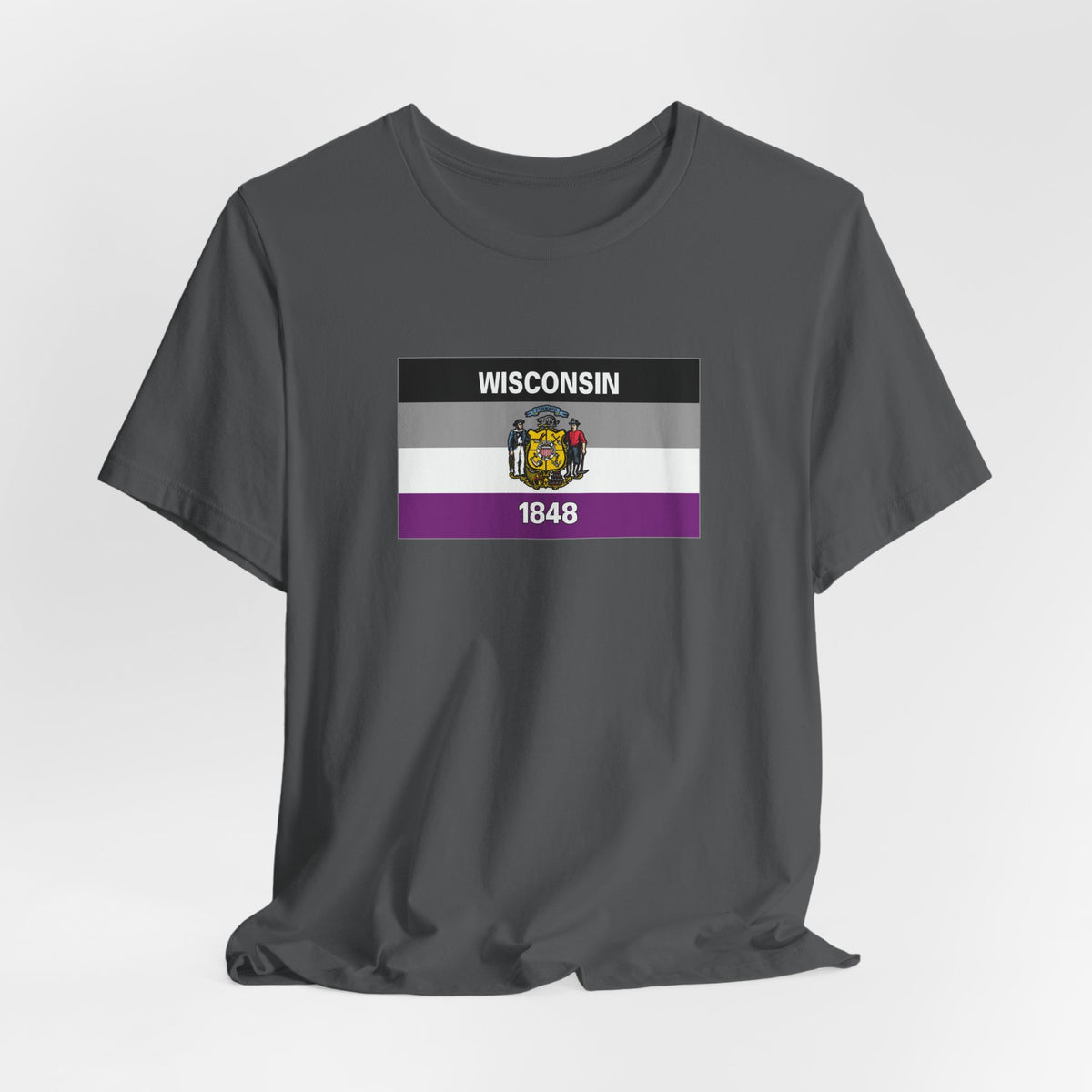 Wisconsin Asexual Pride Flag T-shirt, Several Color Options