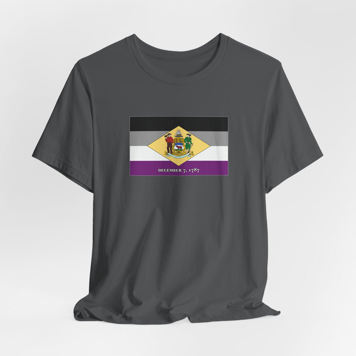 Delaware Asexual Pride Flag T-shirt, Several Color Options