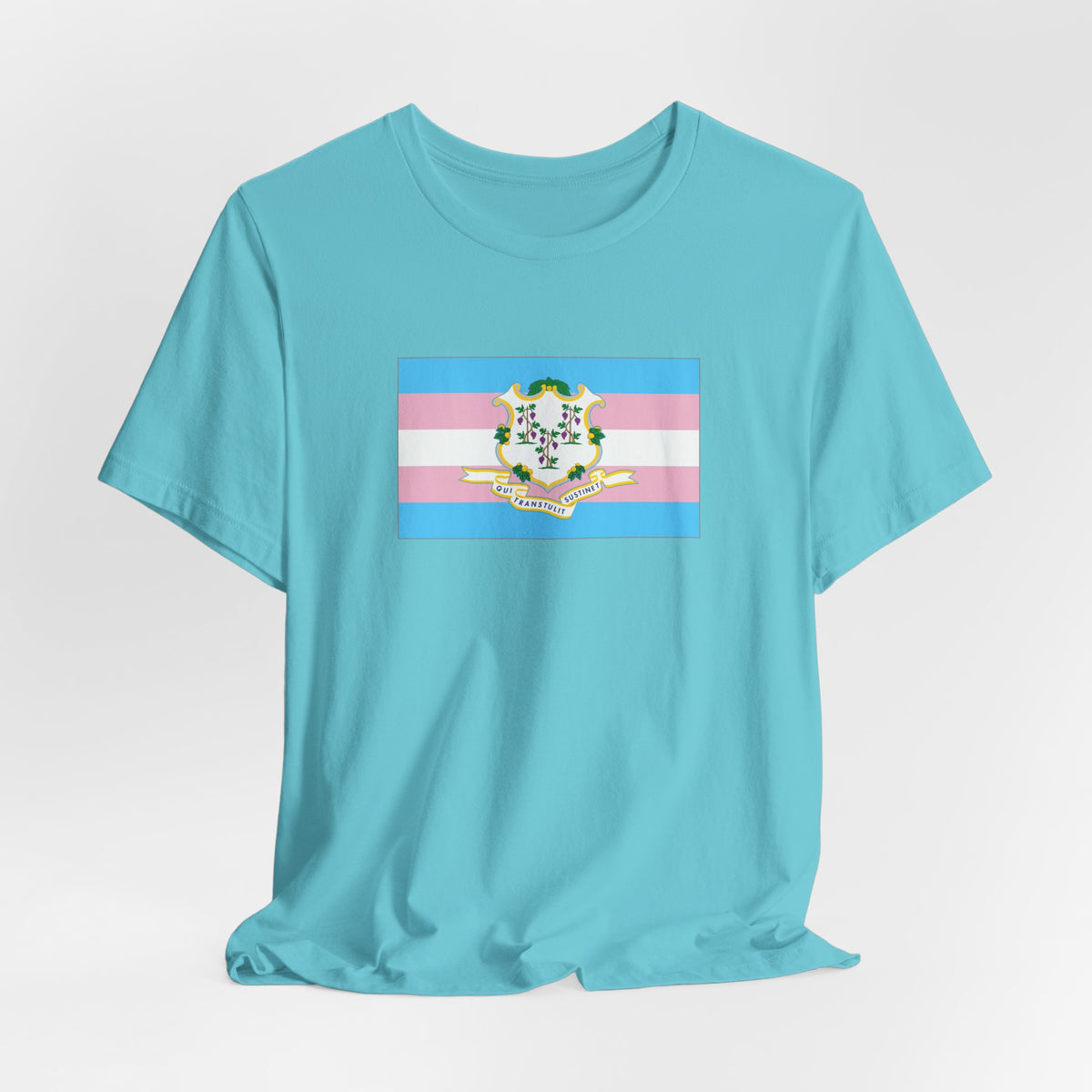 Connecticut Transgender Pride Flag T-shirt, Several Color Options