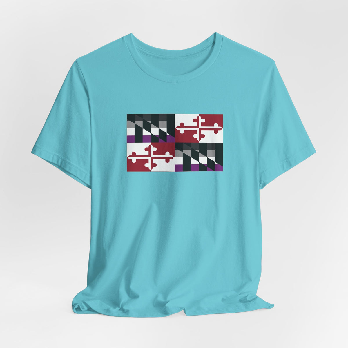 Maryland Asexual Pride Flag T-shirt, Several Color Options