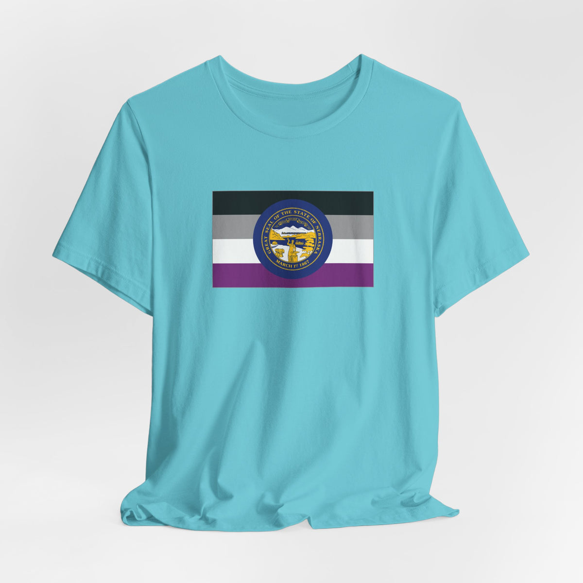 Nebraska Asexual Pride Flag T-shirt, Several Color Options