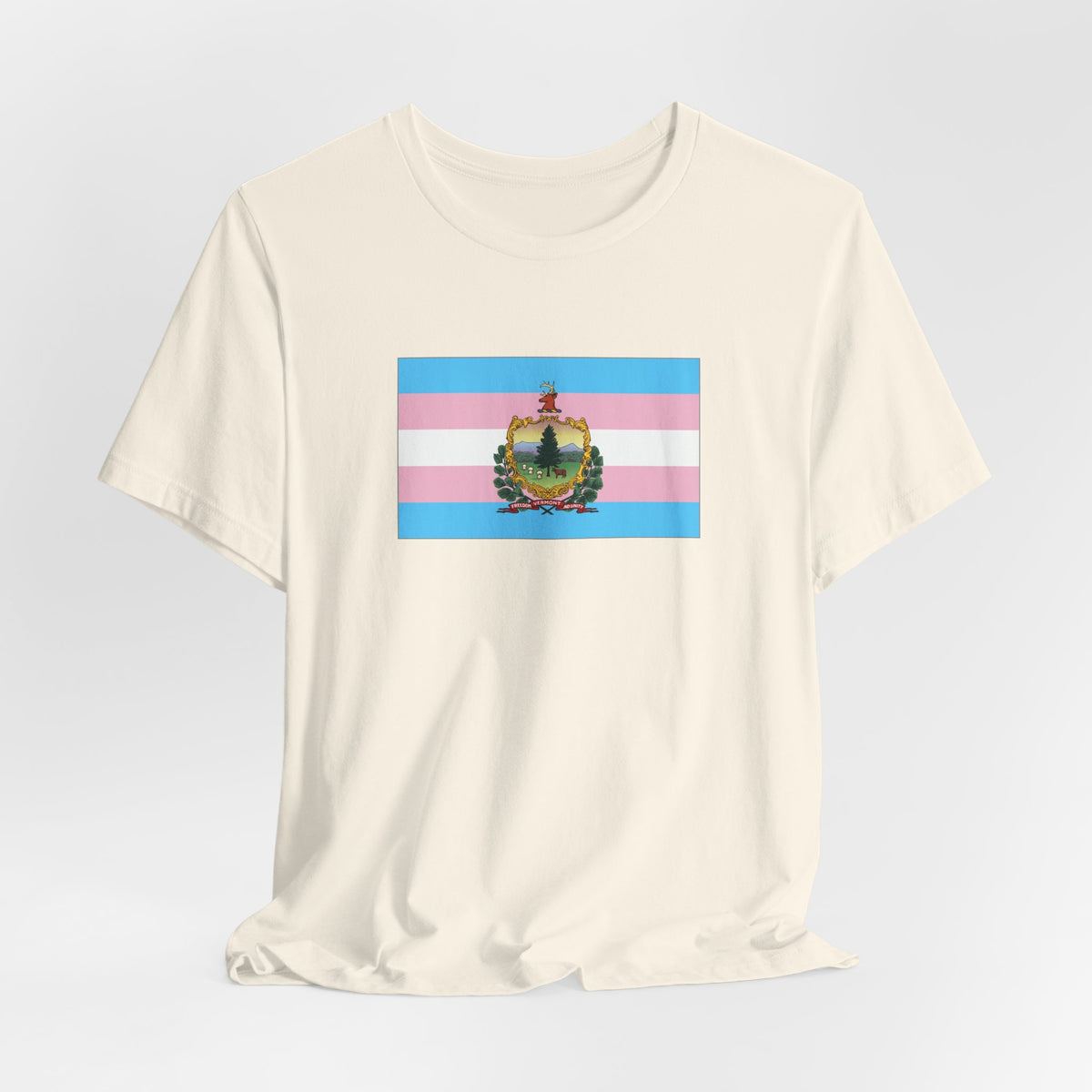 Vermont Transgender Pride Flag T-shirt, Several Color Options