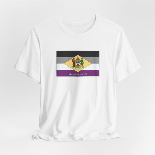 Delaware Asexual Pride Flag T-shirt, Several Color Options