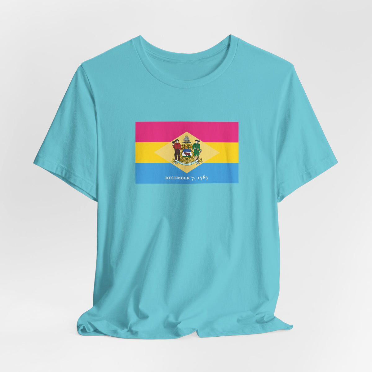 Delaware Pansexual Pride Flag T-shirt, Several Color Options