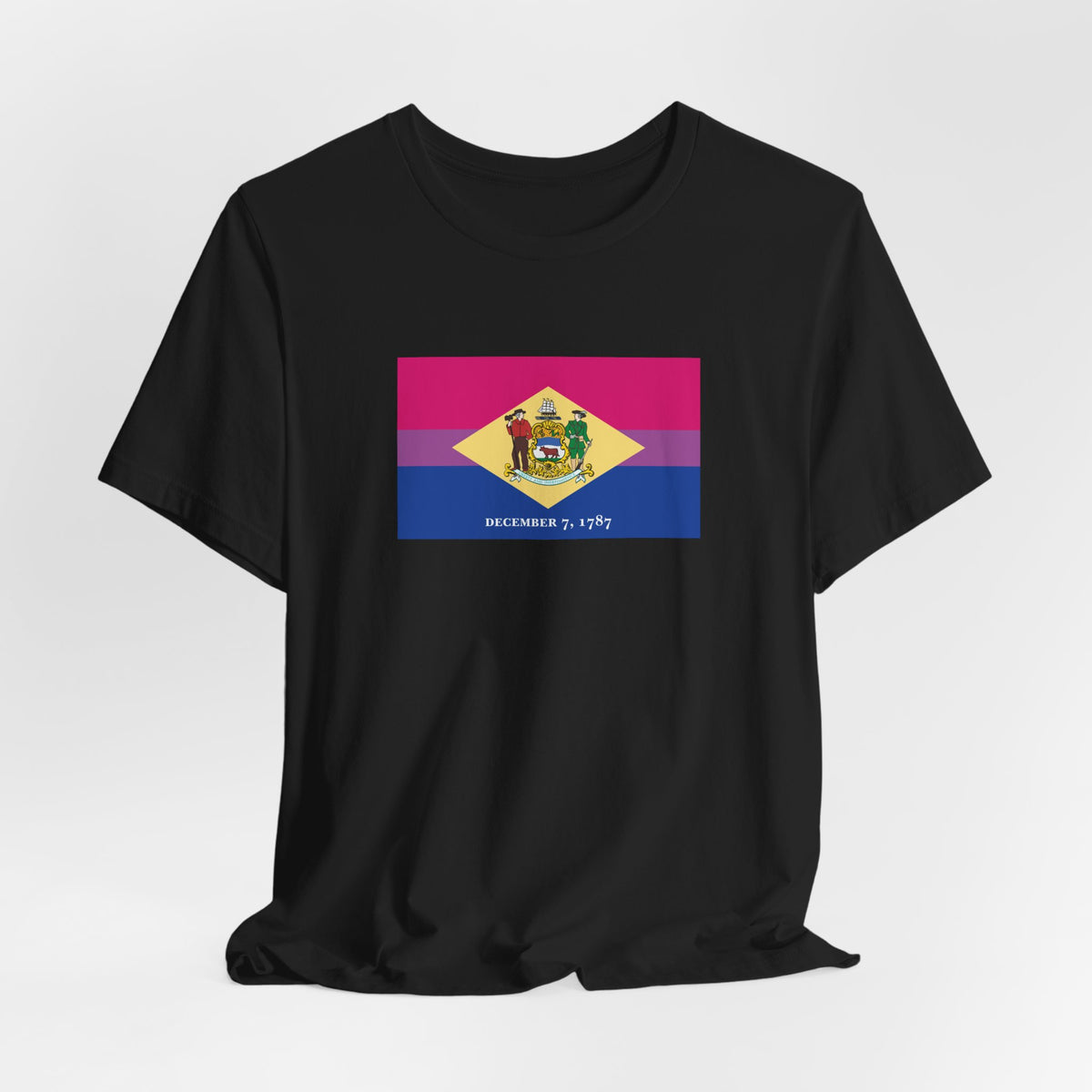 Delaware Bisexual Pride Flag T-shirt, Several Color Options
