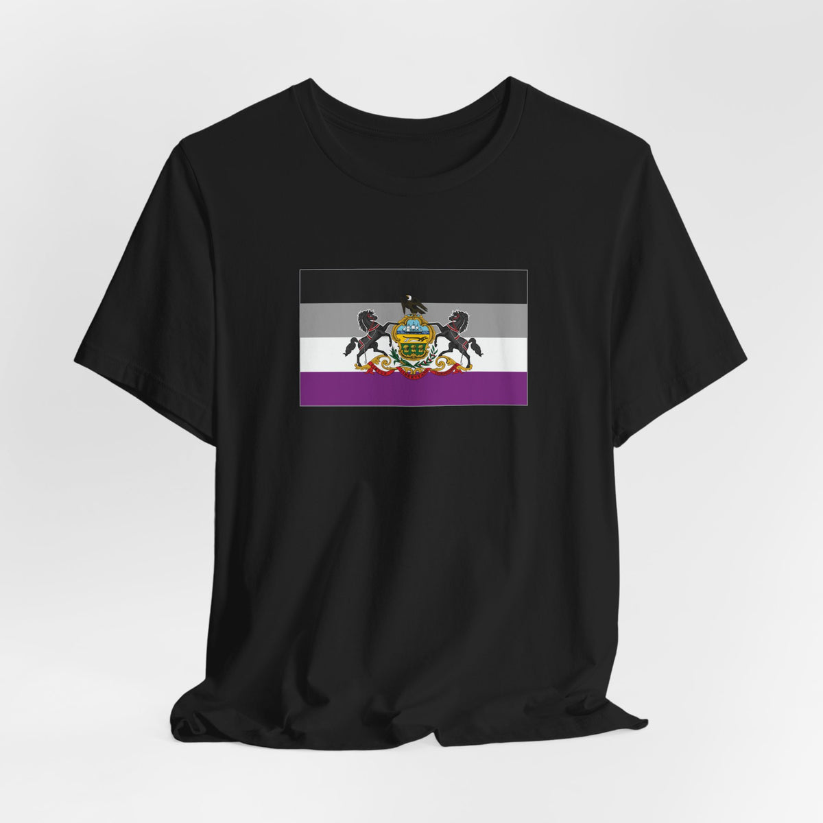 Pennsylvania Asexual Pride Flag T-shirt, Several Color Options
