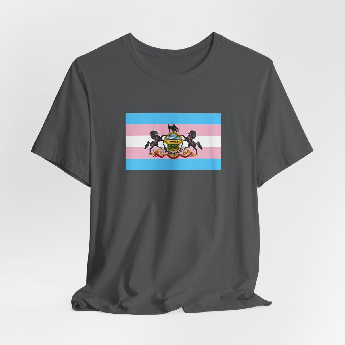 Pennsylvania Transgender Pride Flag T-shirt, Several Color Options