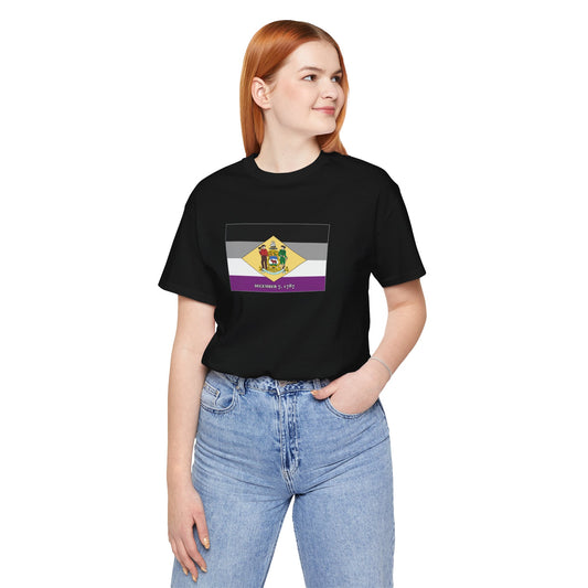 Delaware Asexual Pride Flag T-shirt, Several Color Options
