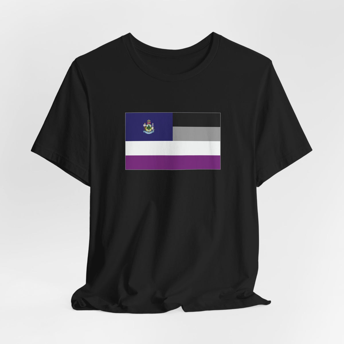 Maine Asexual Pride Flag T-shirt, Several Color Options