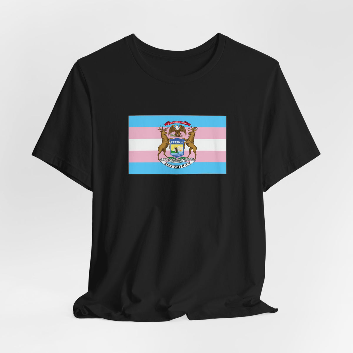 Michigan Transgender Pride Flag T-shirt, Several Color Options