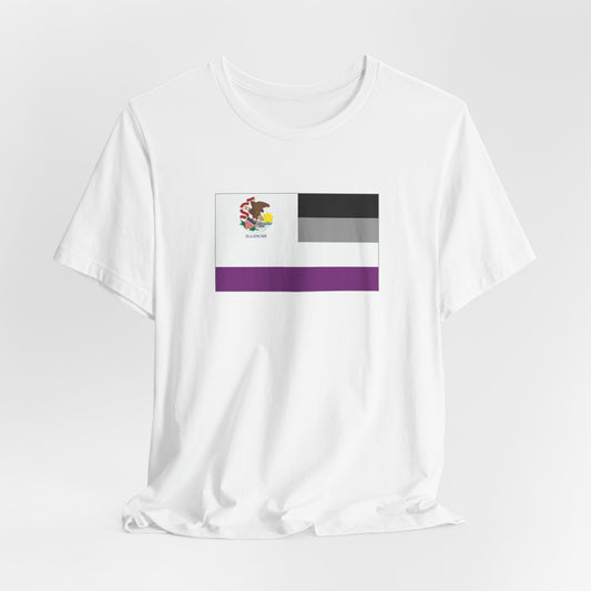 Illinois Asexual Pride Flag T-shirt, Several Color Options