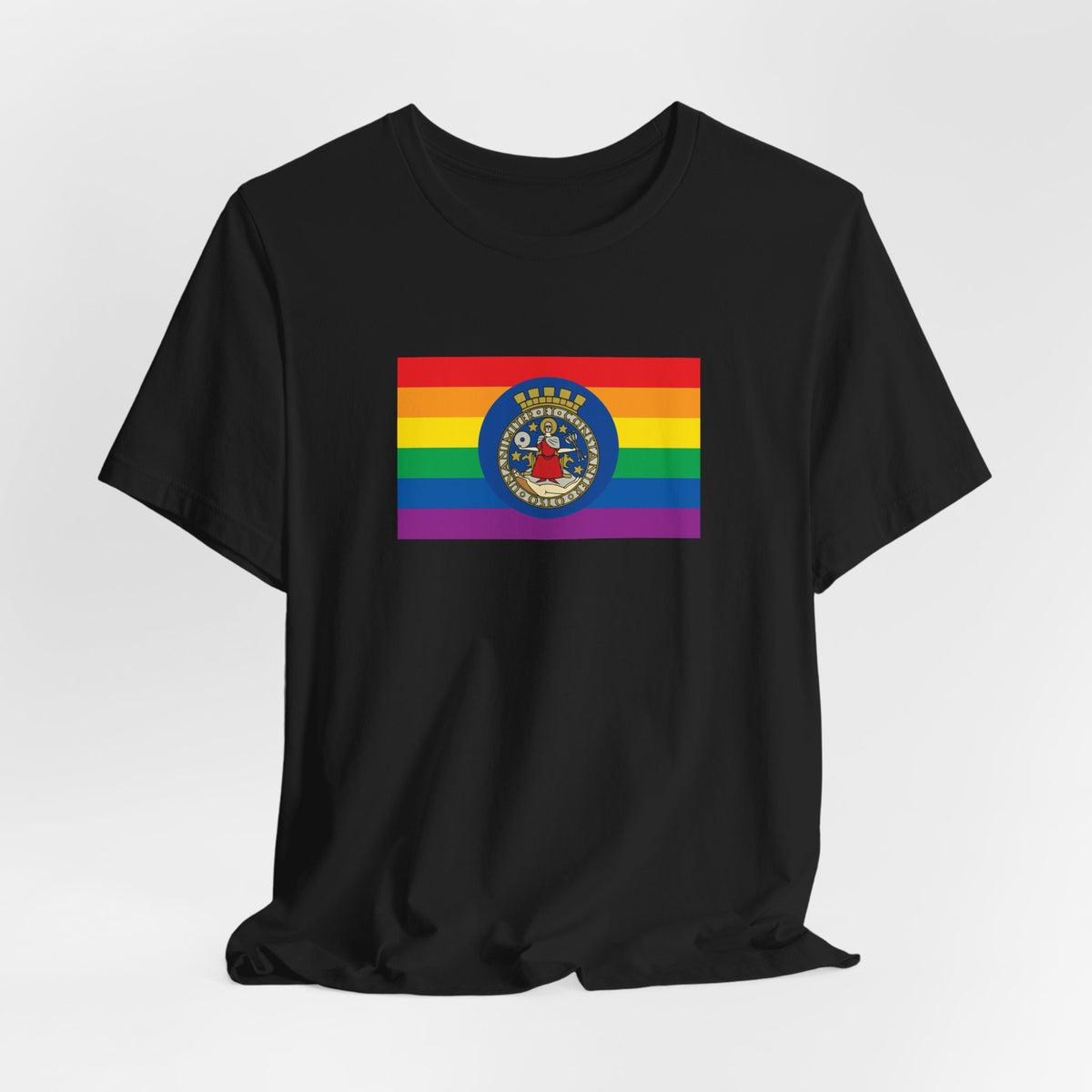 Oslo, Norway Rainbow Pride Flag T-shirt, Several Color Options