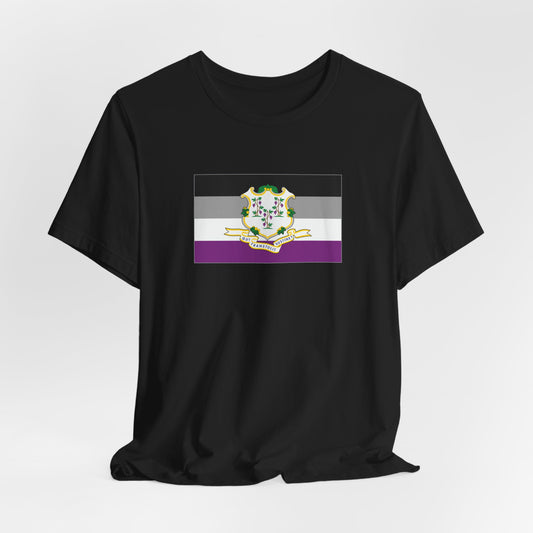 Connecticut Asexual Pride Flag T-shirt, Several Color Options