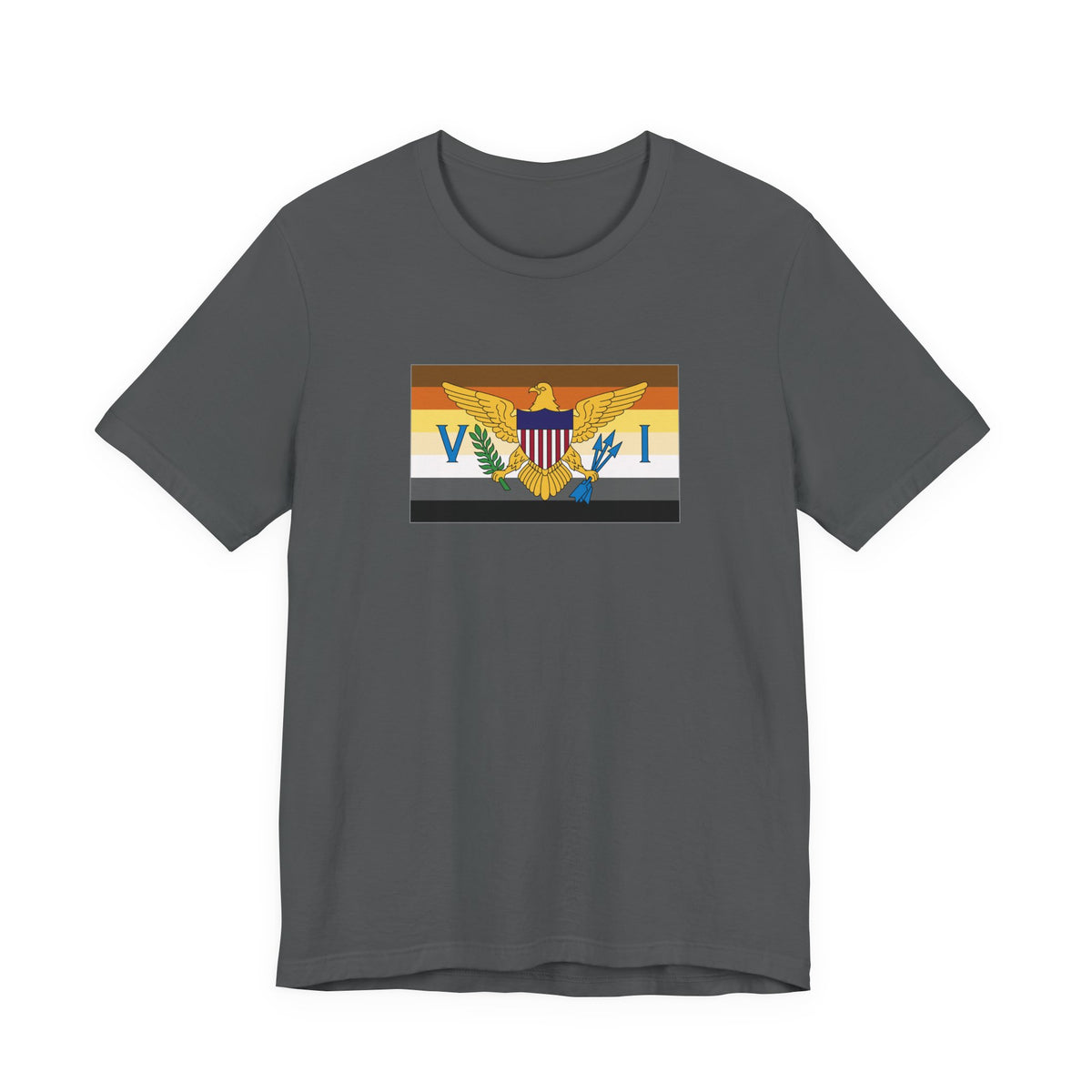 U.S. Virgin Islands Bear Pride Flag T-shirt, Several Color Options