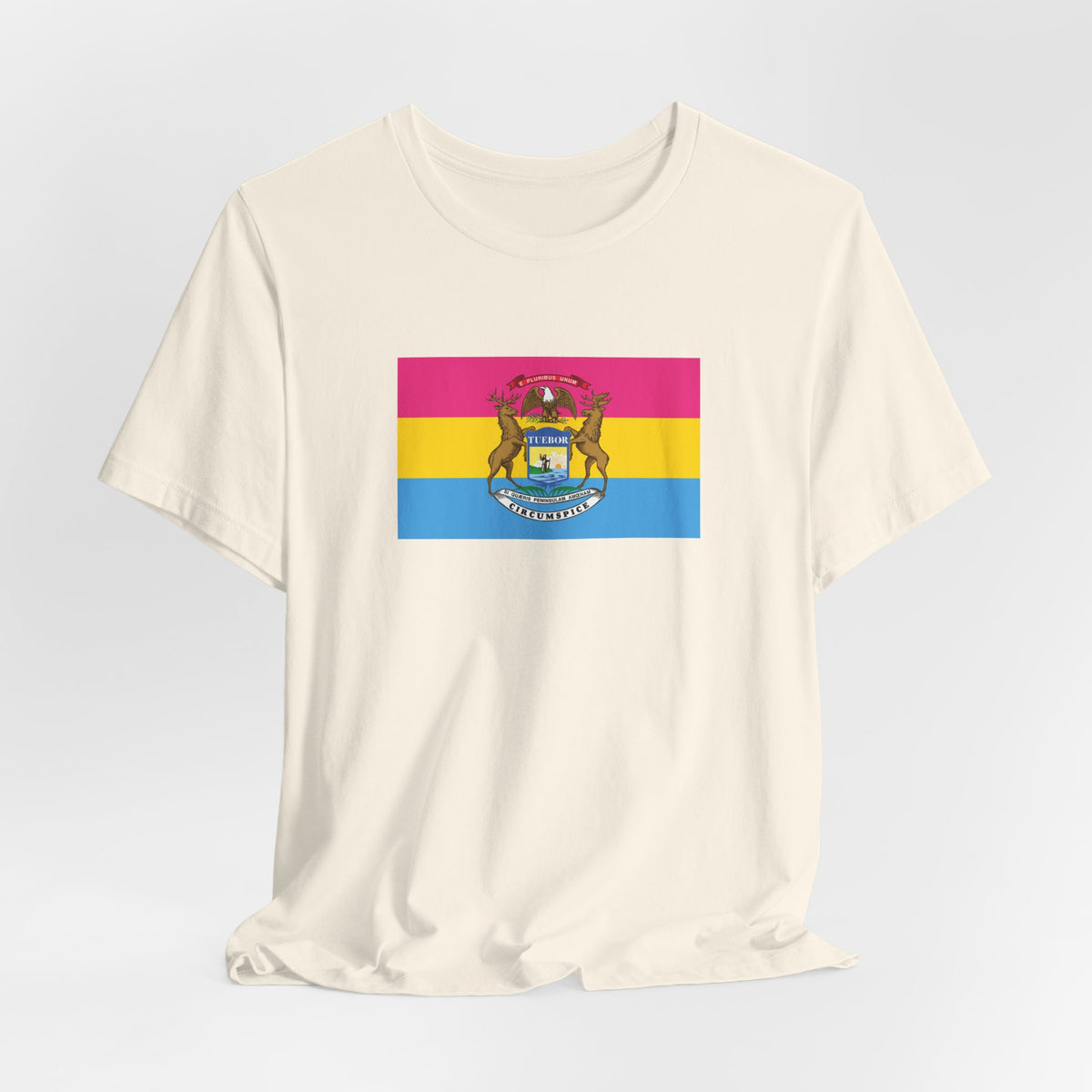 Michigan Pansexual Pride Flag T-shirt, Several Color Options