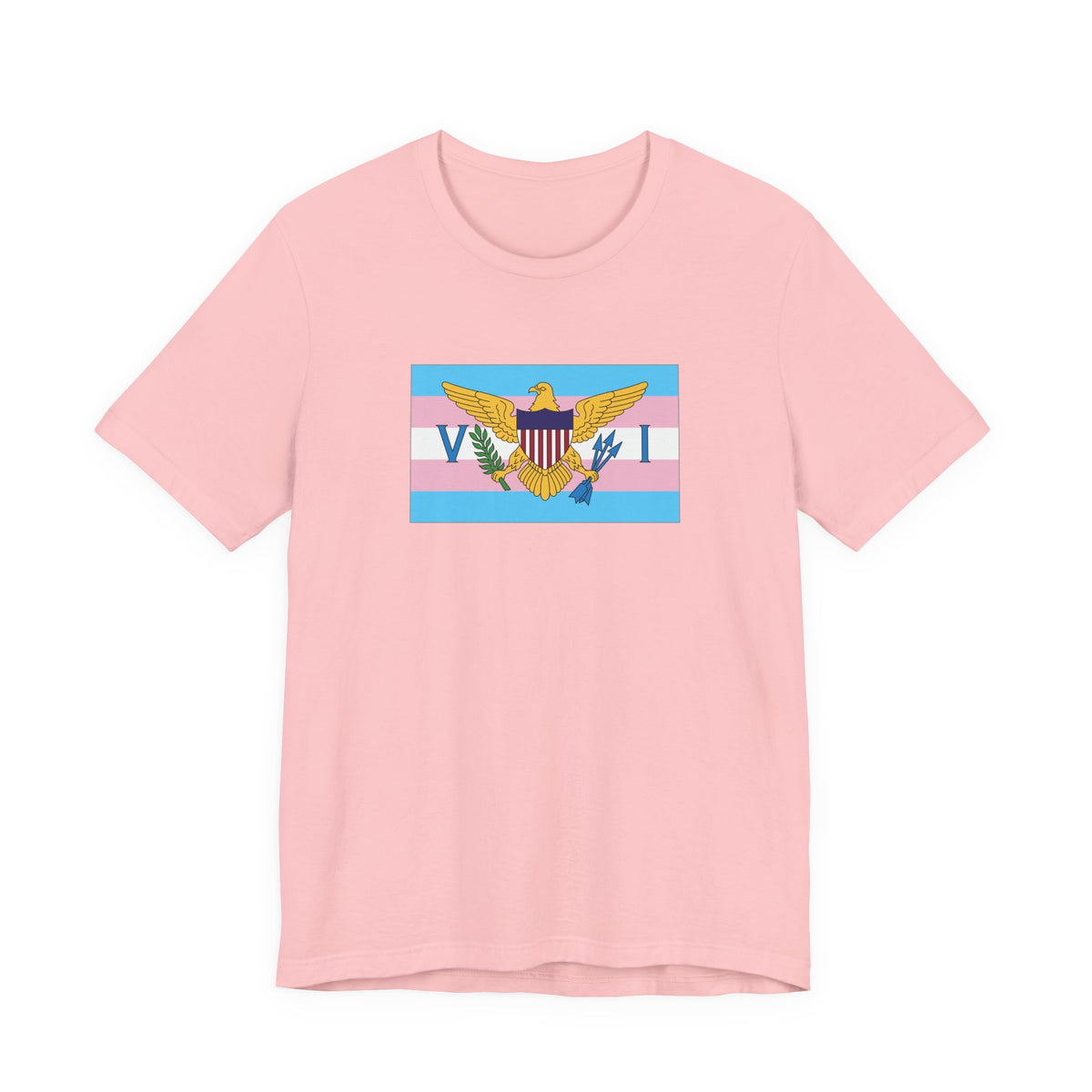 U.S. Virgin Islands Transgender Pride Flag T-shirt, Several Color Options