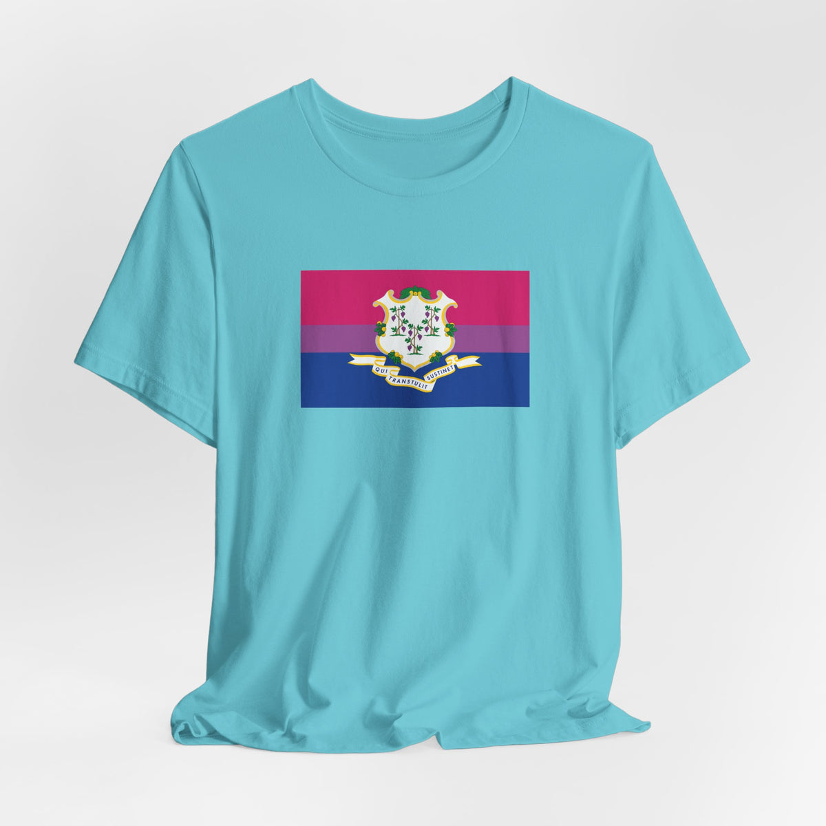 Connecticut Bisexual Pride Flag T-shirt, Several Color Options
