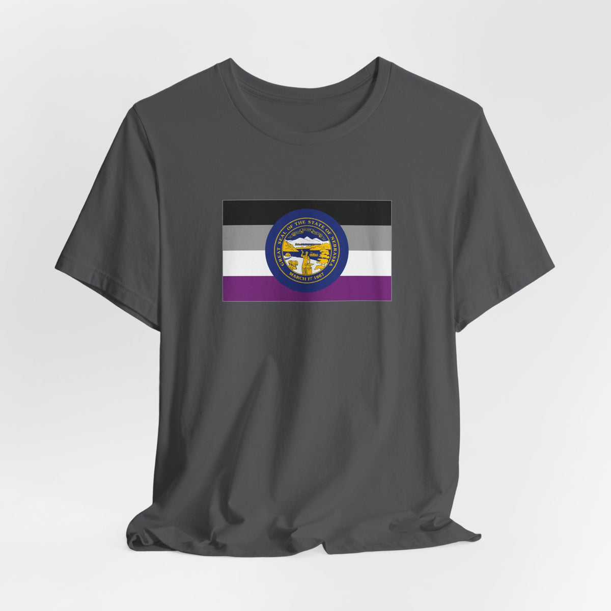 Nebraska Asexual Pride Flag T-shirt, Several Color Options