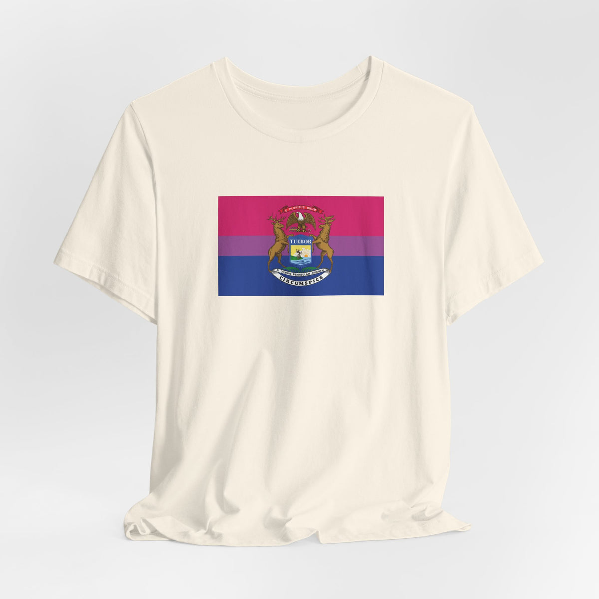Michigan Bisexual Pride Flag T-shirt, Several Color Options