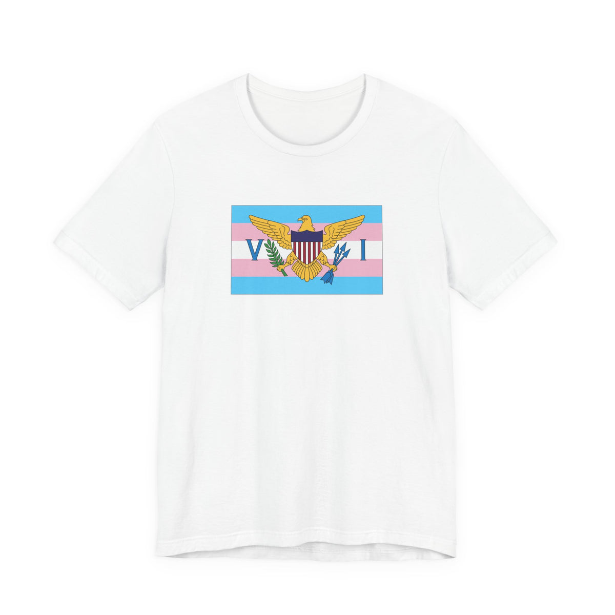 U.S. Virgin Islands Transgender Pride Flag T-shirt, Several Color Options